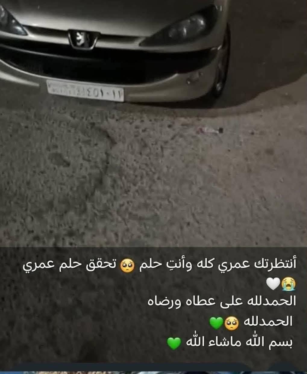 أستوري الاء العشي